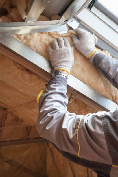 Best Eco-Friendly Insulation in Koloa, HI
