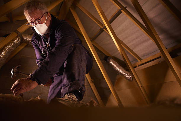 Best Spray Foam Insulation in Koloa, HI